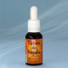 Tintura de propolis ecologica 20 ml propolmel