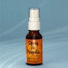Spray de própolis 20ml propolmel