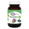 Alcachofera bio 120 cap. el granero integral