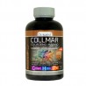 Collmar comprimidos masticables sabor galletas chocolate 180 comp. drasanvi