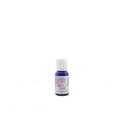 Contorno de ojos y labios 10 ml aloe plant