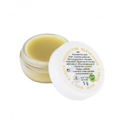 Protector y reparador labial sabor a miel 5 g aloe plant
