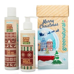 Pack merry xmas box greenatural