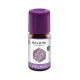 Sinergia de aceites esenciales para el bienestar 5 ml taoasis